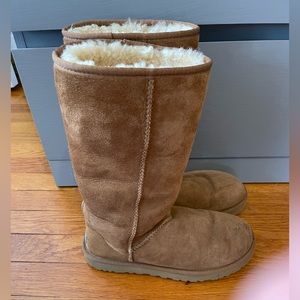 Tall Chestnut Uggs